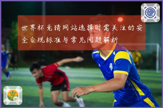 世界杯竞猜网站选择时需关注的安全合规标准与常见问题解析