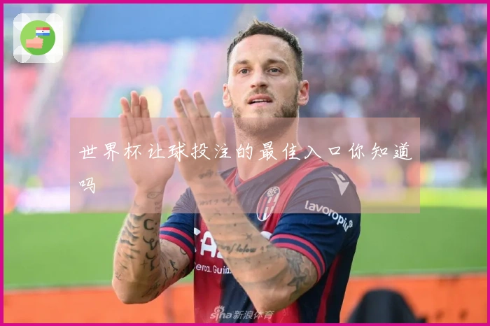 世界杯让球投注的最佳入口你知道吗