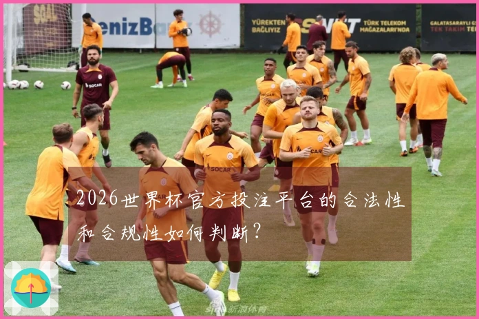 2026世界杯官方投注平台的合法性和合规性如何判断？