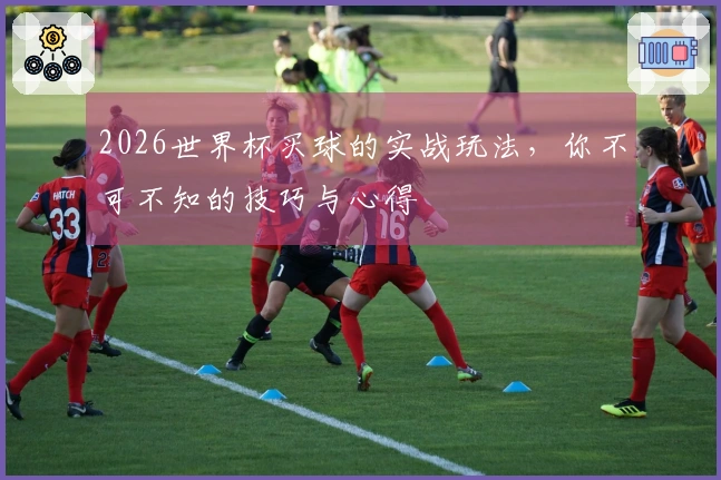 2026世界杯买球的实战玩法，你不可不知的技巧与心得