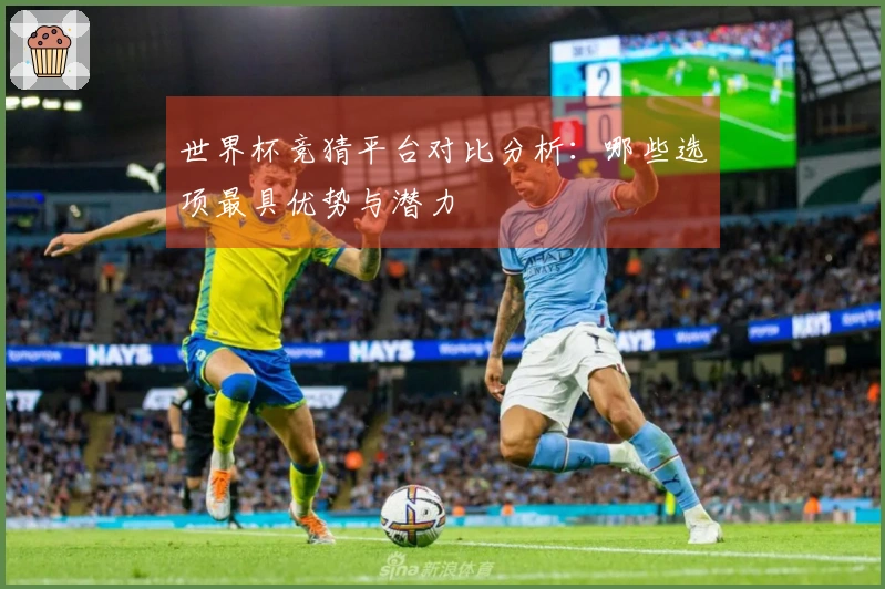 世界杯竞猜平台对比分析：哪些选项最具优势与潜力