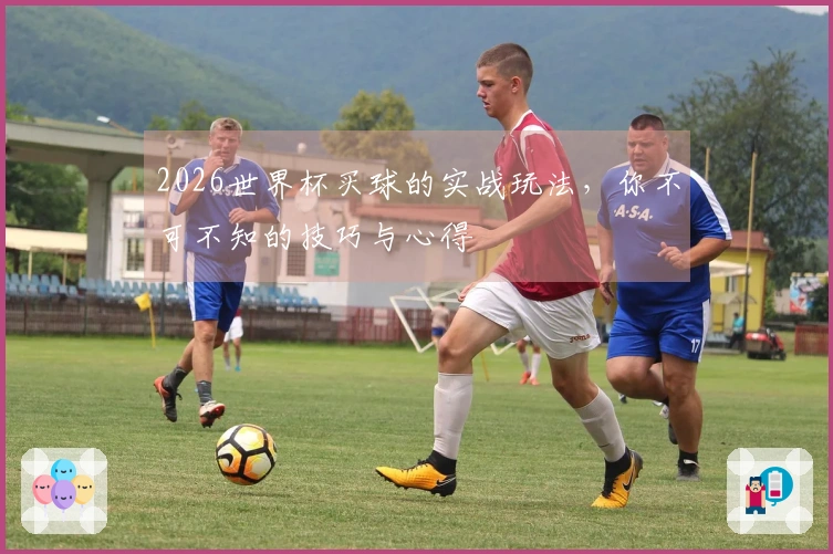 2026世界杯买球的实战玩法，你不可不知的技巧与心得