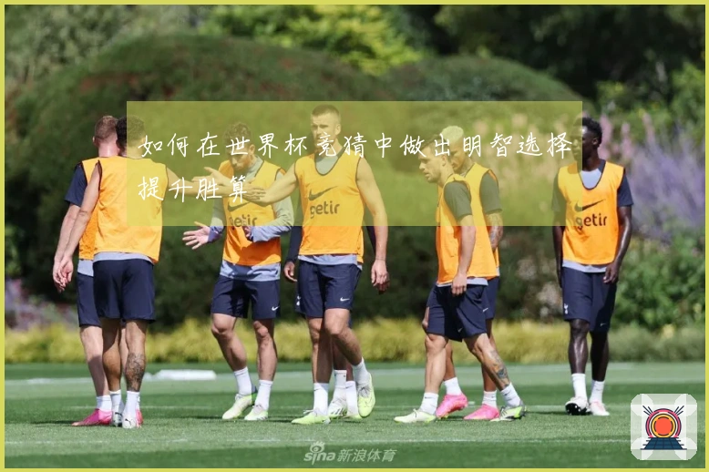 如何在世界杯竞猜中做出明智选择提升胜算