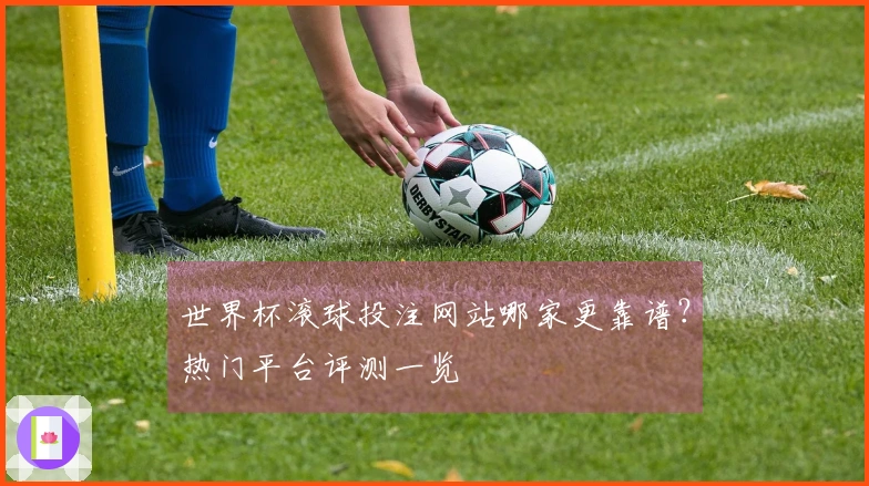世界杯滚球投注网站哪家更靠谱？热门平台评测一览