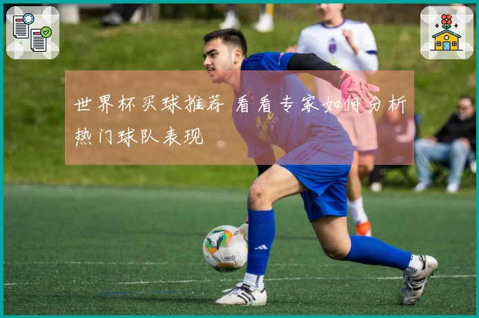 世界杯买球推荐 看看专家如何分析热门球队表现