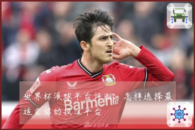 世界杯滚球平台评测：怎样选择最适合你的投注平台