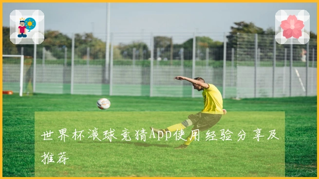 世界杯滚球竞猜App使用经验分享及推荐