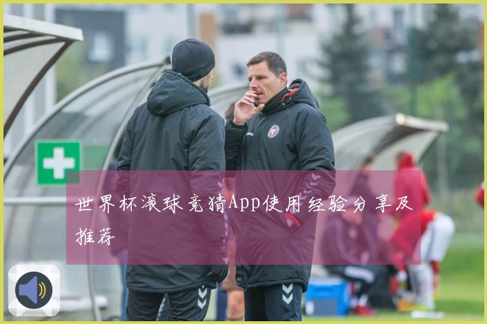 世界杯滚球竞猜App使用经验分享及推荐