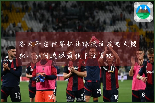 各大平台世界杯让球投注攻略大揭秘，如何选择最佳下注策略