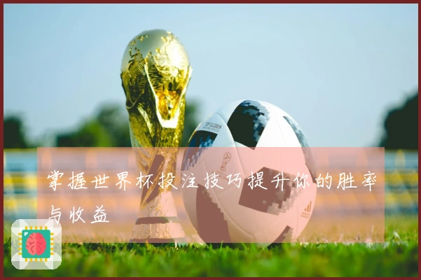 掌握世界杯投注技巧提升你的胜率与收益
