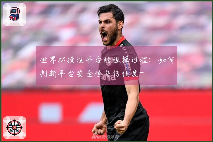 世界杯投注平台的选择过程：如何判断平台安全性与信任度-