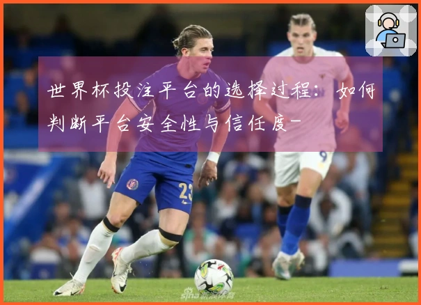 世界杯投注平台的选择过程：如何判断平台安全性与信任度-
