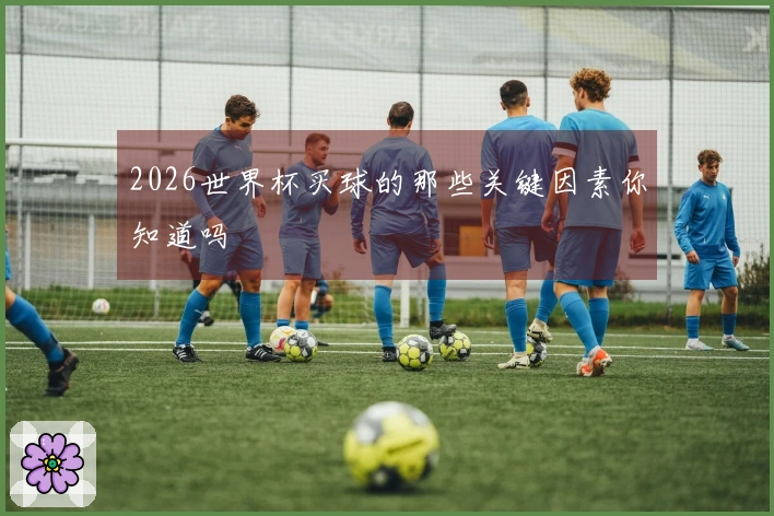 2026世界杯买球的那些关键因素你知道吗