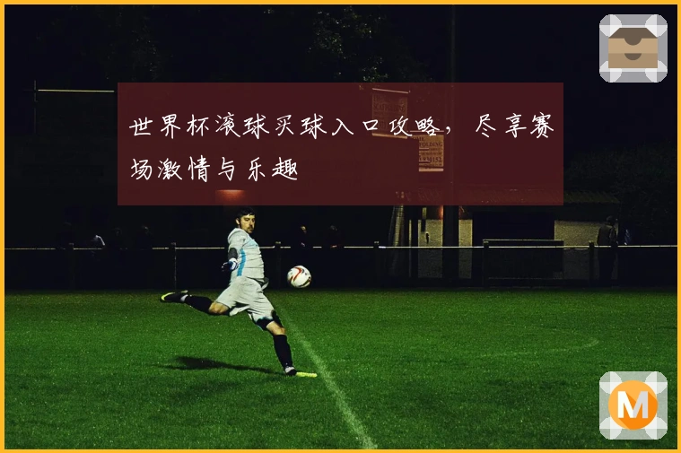 世界杯滚球买球入口攻略，尽享赛场激情与乐趣