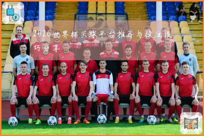 2026世界杯买球平台推荐与投注技巧分享