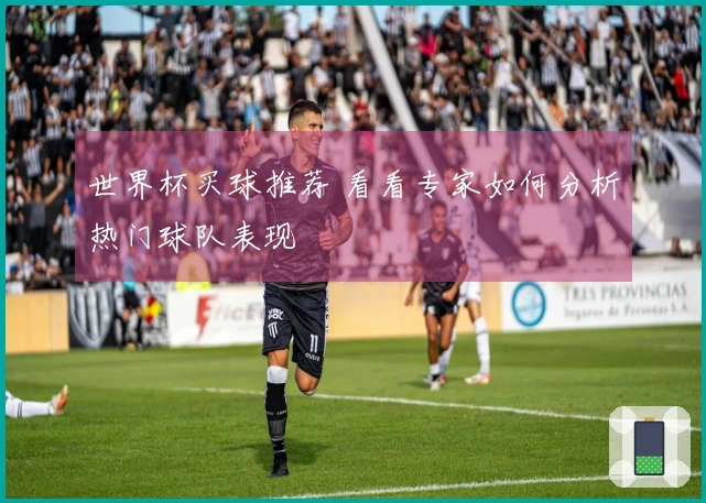 世界杯买球推荐 看看专家如何分析热门球队表现