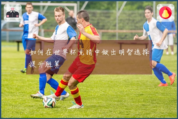 如何在世界杯竞猜中做出明智选择提升胜算