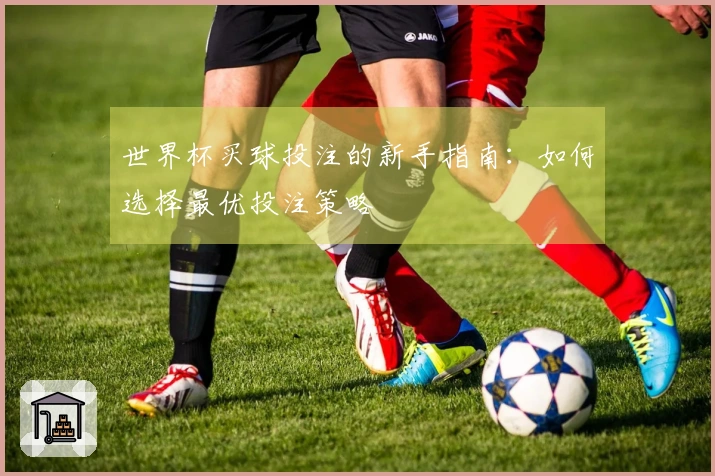 世界杯买球投注的新手指南：如何选择最优投注策略