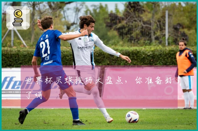 世界杯买球技巧大盘点，你准备好了吗